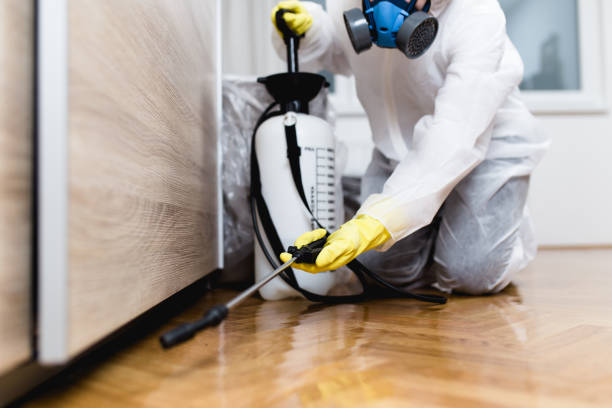 Best Wasp Removal Services  in Parkston, SD