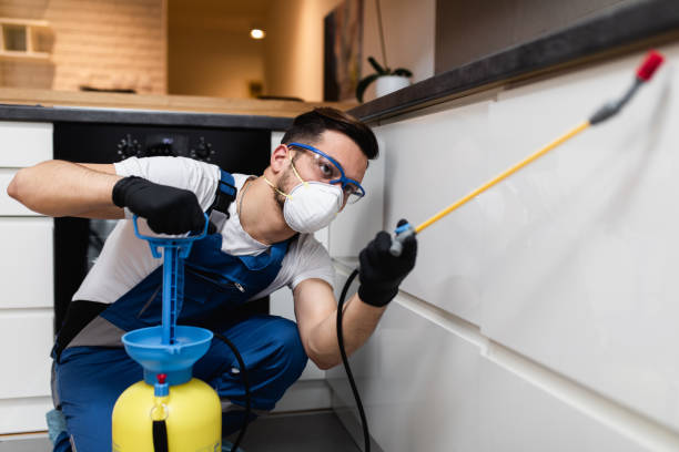 Best Affordable Pest Control Services  in Parkston, SD