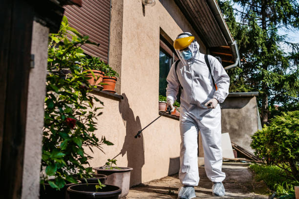 Best Pest Inspection Near Me  in Parkston, SD
