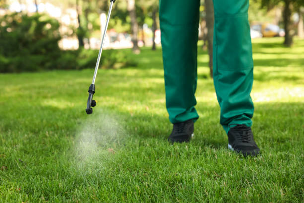 Best Bed Bug Extermination  in Parkston, SD