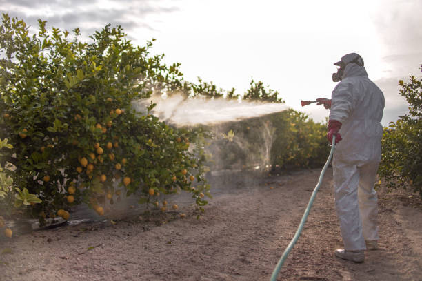 Best Wildlife Control Services  in Parkston, SD