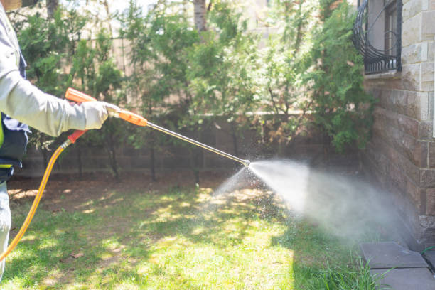 Best Termite Control Services  in Parkston, SD