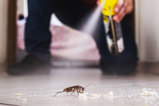 Best Wildlife Control Services  in Parkston, SD