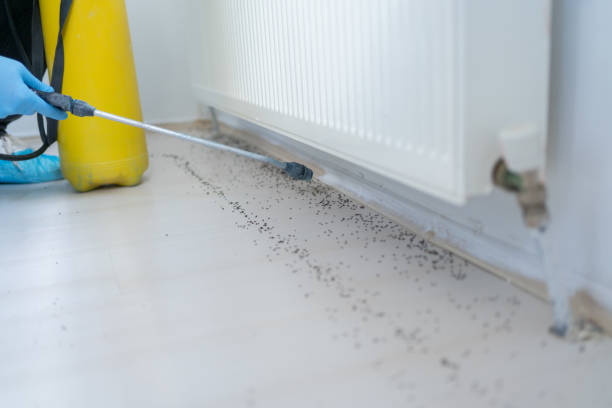 Best Commercial Pest Control Services  in Parkston, SD