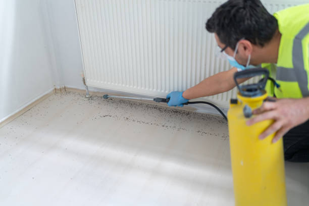 Best Mosquito Control Services  in Parkston, SD