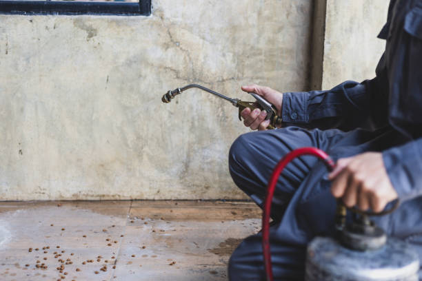 Best Emergency Pest Control  in Parkston, SD