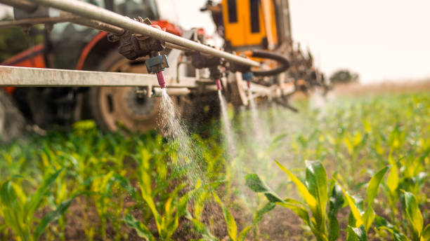 Best Wasp Removal Services  in Parkston, SD